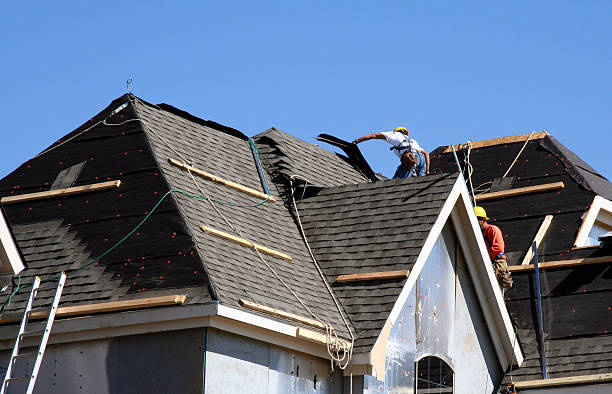 Best Roof Gutter Cleaning  in Laughlin Af, TX